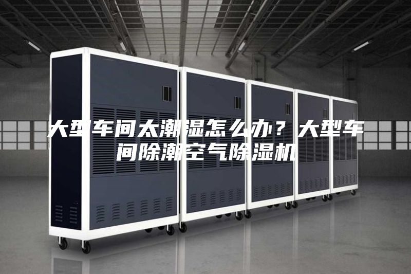 大型車(chē)間太潮濕怎么辦？大型車(chē)間除潮空氣除濕機(jī)