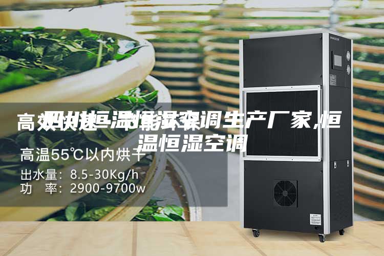 四川恒溫恒濕空調(diào)生產(chǎn)廠家,恒溫恒濕空調(diào)