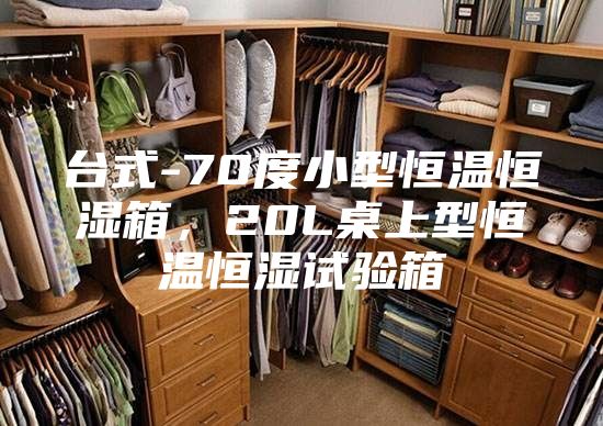 臺式-70度小型恒溫恒濕箱，20L桌上型恒溫恒濕試驗箱