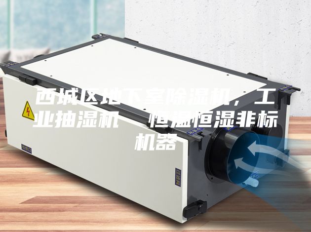 西城區(qū)地下室除濕機(jī)，工業(yè)抽濕機(jī)  恒溫恒濕非標(biāo)機(jī)器