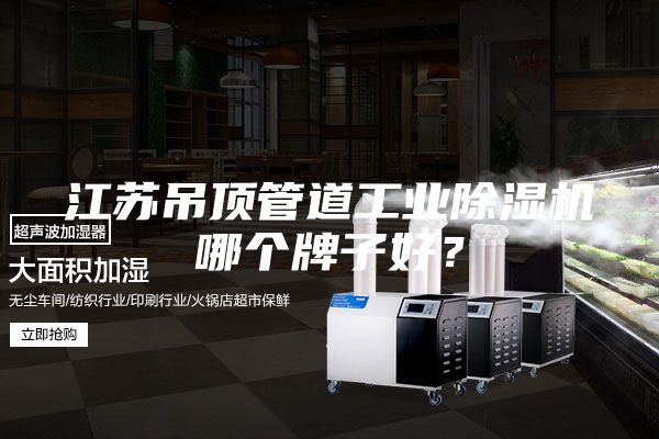 江蘇吊頂管道工業除濕機哪個牌子好？