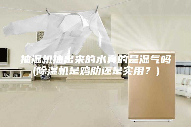 抽濕機(jī)抽出來(lái)的水真的是濕氣嗎(除濕機(jī)是雞肋還是實(shí)用？)