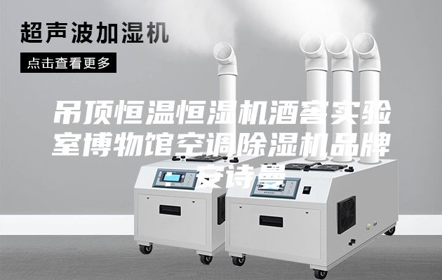 吊頂恒溫恒濕機酒窖實驗室博物館空調(diào)除濕機品牌：安詩曼