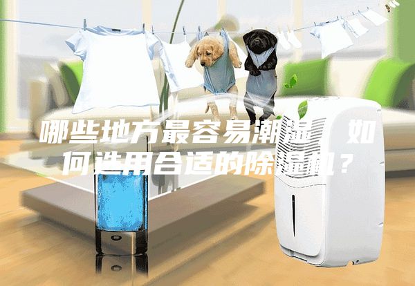 哪些地方最容易潮濕，如何選用合適的除濕機(jī)？