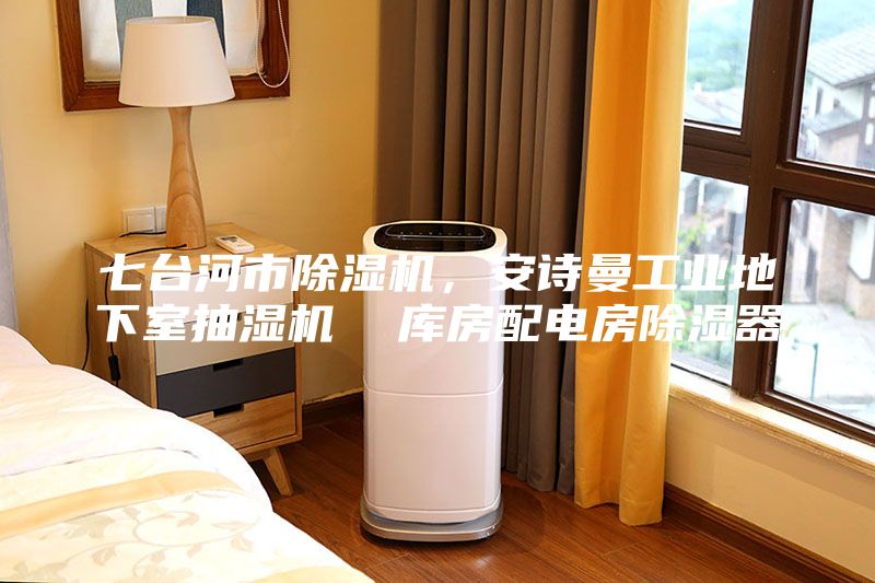 七臺河市除濕機，安詩曼工業地下室抽濕機  庫房配電房除濕器