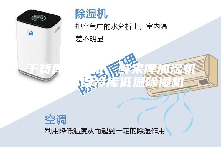 干貨庫除濕機，鮮果庫加濕機，2-8度冷庫低溫除濕機