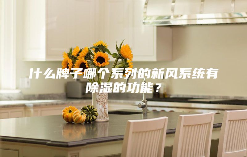 什么牌子哪個系列的新風系統(tǒng)有除濕的功能？