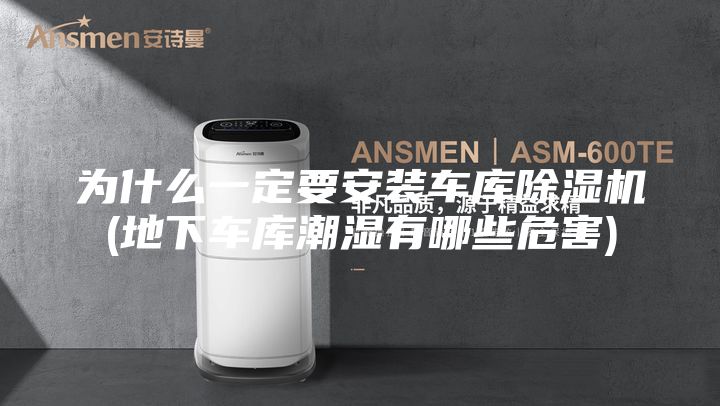 為什么一定要安裝車庫除濕機(jī)(地下車庫潮濕有哪些危害)