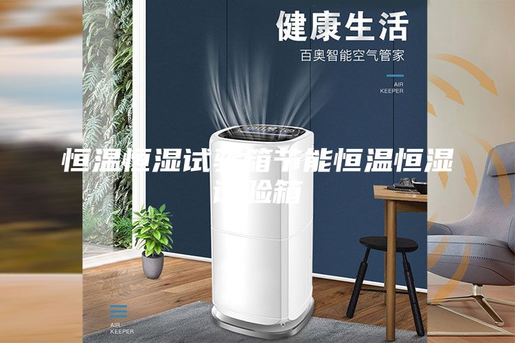 恒溫恒濕試驗(yàn)箱節(jié)能恒溫恒濕試驗(yàn)箱