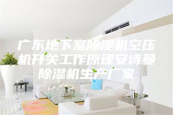 廣東地下室除濕機空壓機開關工作原理安詩曼除濕機生產(chǎn)廠家
