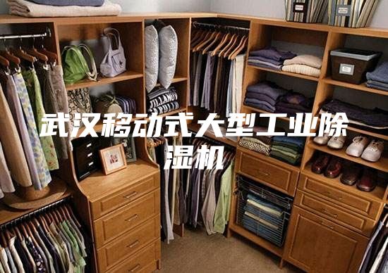 武漢移動式大型工業除濕機