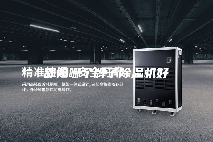 邵陽(yáng)哪個(gè)牌子除濕機(jī)好