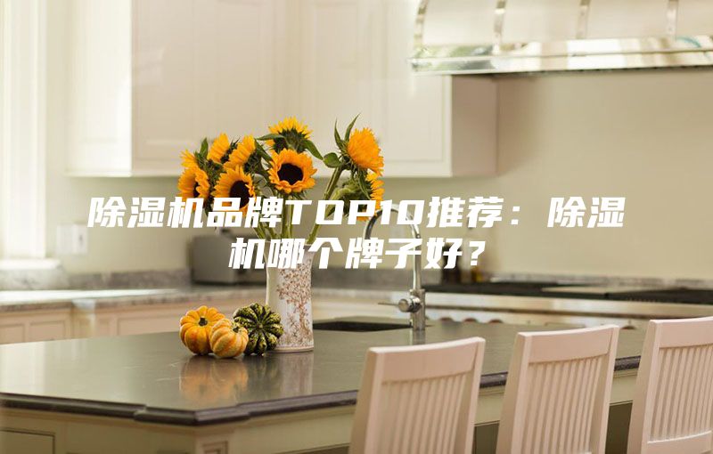 除濕機品牌TOP10推薦：除濕機哪個牌子好？