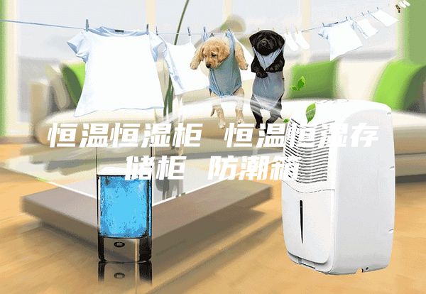 恒溫恒濕柜 恒溫恒濕存儲(chǔ)柜 防潮箱