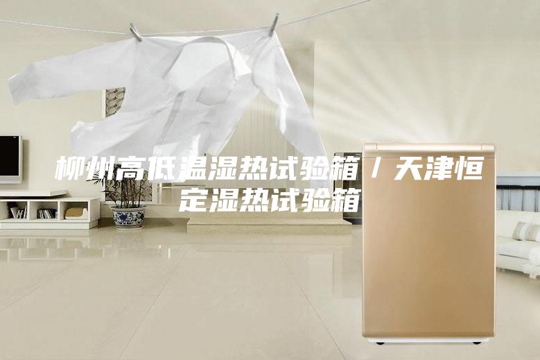 柳州高低溫濕熱試驗箱／天津恒定濕熱試驗箱