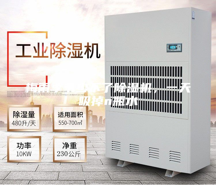 梅雨季節少不了除濕機，一天吸掉n瓶水