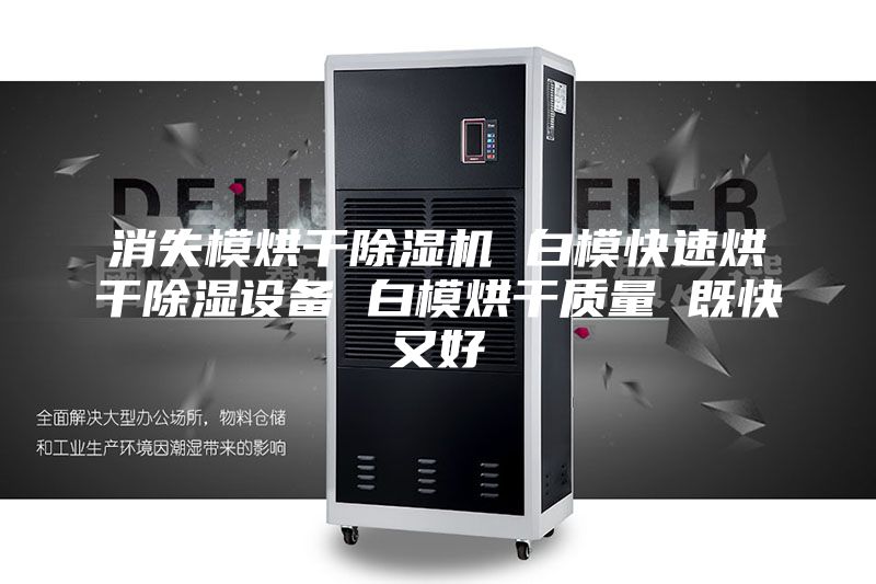 消失模烘干除濕機 白?？焖俸娓沙凉裨O備 白模烘干質量 既快又好