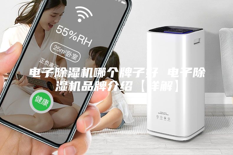 電子除濕機(jī)哪個(gè)牌子好 電子除濕機(jī)品牌介紹【詳解】