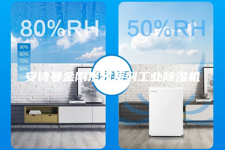 安詩(shī)曼金剛系列系列工業(yè)除濕機(jī)