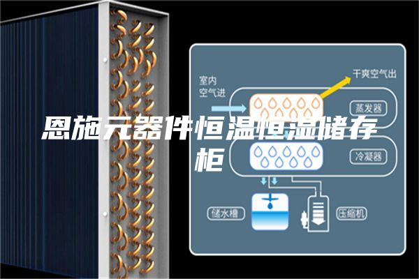 恩施元器件恒溫恒濕儲(chǔ)存柜