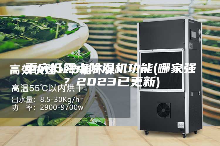 重慶低露點除濕機(jī)功能(哪家強(qiáng)？2023已更新)