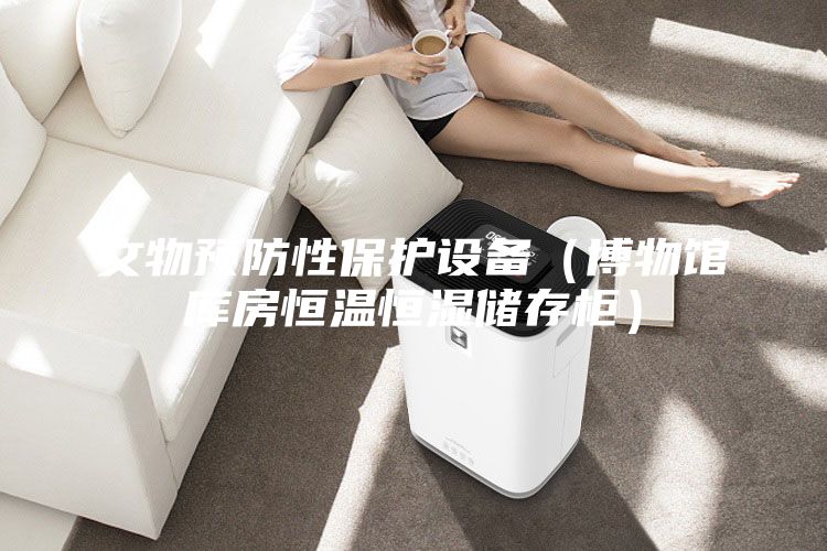 文物預防性保護設備（博物館庫房恒溫恒濕儲存柜）