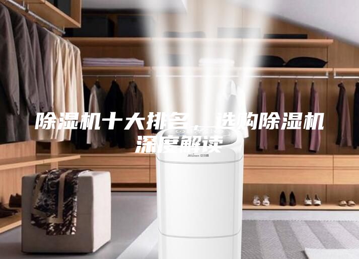 除濕機十大排名,選購除濕機深度解讀