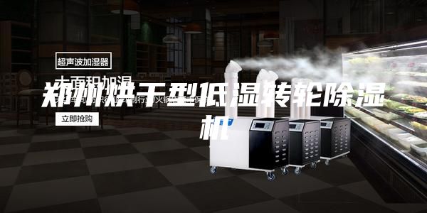 鄭州烘干型低濕轉輪除濕機