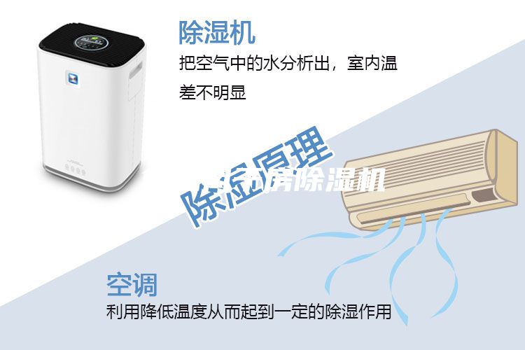 食品風(fēng)干房除濕機(jī)