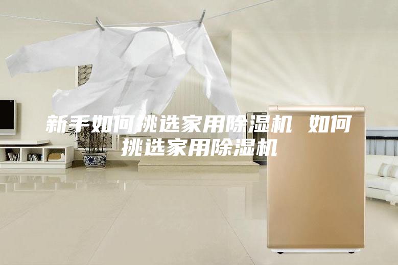 新手如何挑選家用除濕機 如何挑選家用除濕機
