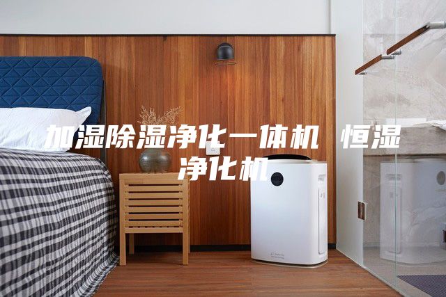 加濕除濕凈化一體機(jī) 恒濕凈化機(jī)