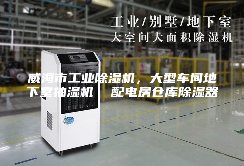 威海市工業(yè)除濕機(jī)，大型車間地下室抽濕機(jī)  配電房倉庫除濕器