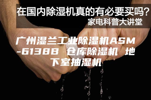 廣州濕蘭工業(yè)除濕機ASM-6138B 倉庫除濕機 地下室抽濕機