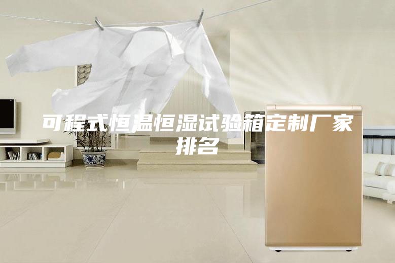 可程式恒溫恒濕試驗箱定制廠家排名