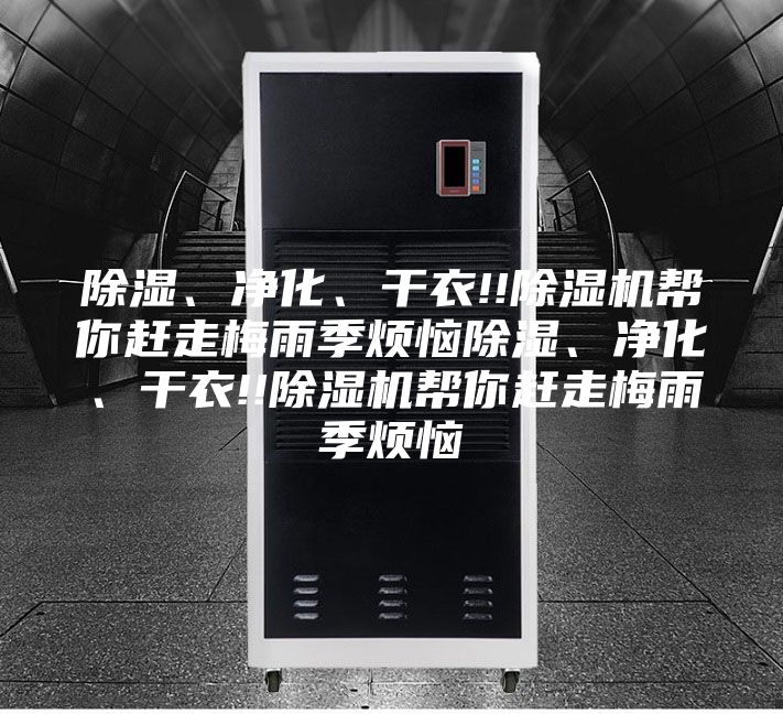 除濕、凈化、干衣!!除濕機幫你趕走梅雨季煩惱除濕、凈化、干衣!!除濕機幫你趕走梅雨季煩惱