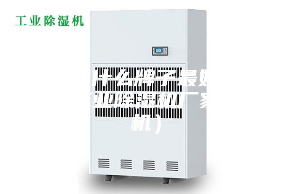 除濕機(jī)什么牌子最好(安詩曼工業(yè)除濕機(jī)廠家除濕機(jī))