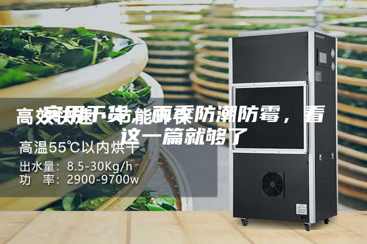 實用干貨，雨季防潮防霉，看這一篇就夠了