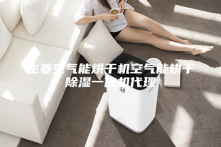 生姜空氣能烘干機(jī)空氣能烘干除濕一體機(jī)代理