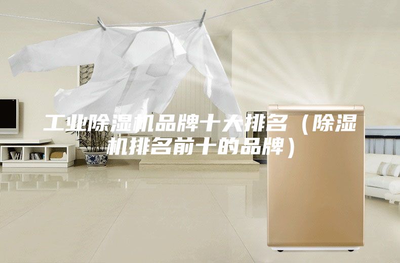 工業(yè)除濕機品牌十大排名（除濕機排名前十的品牌）