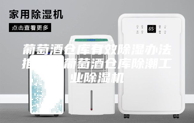 葡萄酒倉庫有效除濕辦法推薦?葡萄酒倉庫除潮工業(yè)除濕機(jī)