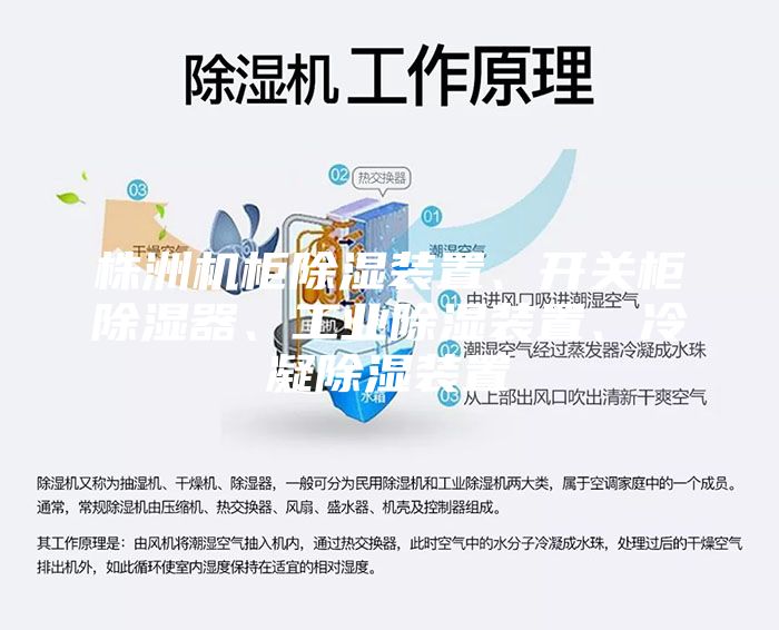 株洲機(jī)柜除濕裝置、開關(guān)柜除濕器、工業(yè)除濕裝置、冷凝除濕裝置