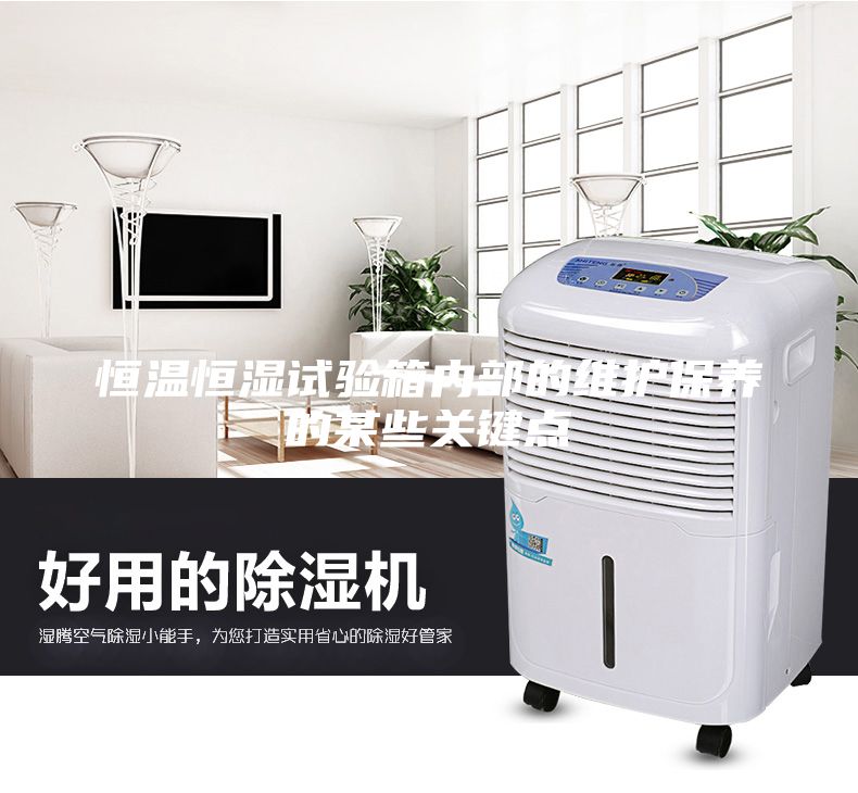 恒溫恒濕試驗箱內部的維護保養的某些關鍵點