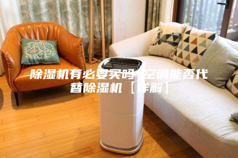 除濕機(jī)有必要買(mǎi)嗎 空調(diào)能否代替除濕機(jī)【詳解】