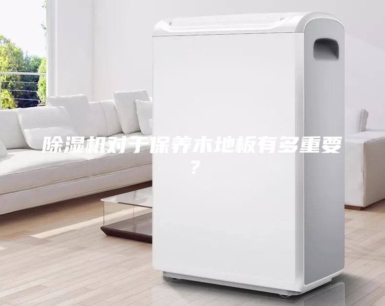 除濕機對于保養木地板有多重要？