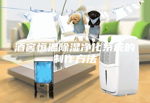 酒窖恒溫除濕凈化系統(tǒng)的制作方法