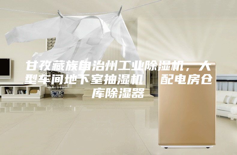 甘孜藏族自治州工業(yè)除濕機(jī)，大型車間地下室抽濕機(jī)  配電房倉庫除濕器
