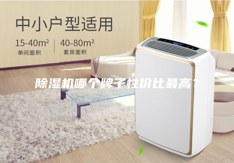 除濕機(jī)哪個(gè)牌子性價(jià)比最高？