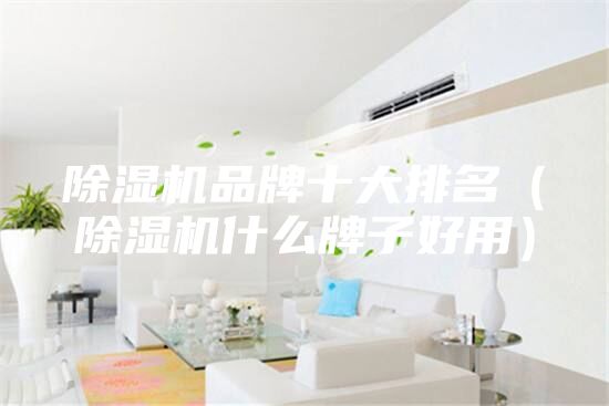 除濕機品牌十大排名（除濕機什么牌子好用）