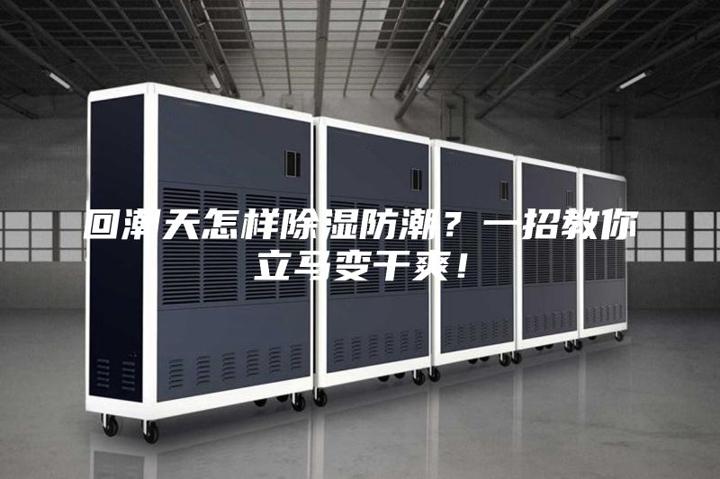 回潮天怎樣除濕防潮？一招教你立馬變干爽！