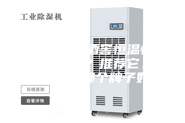 你知道進(jìn)口酒窖恒溫恒濕機(jī)的品牌嗎?推薦它。恒溫恒濕機(jī)哪個牌子好?